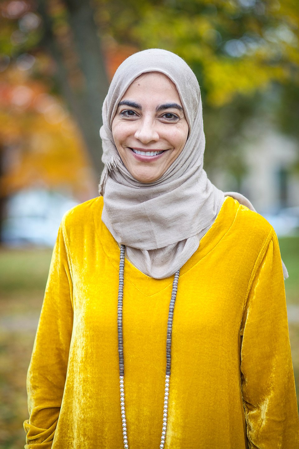 حياة سندي